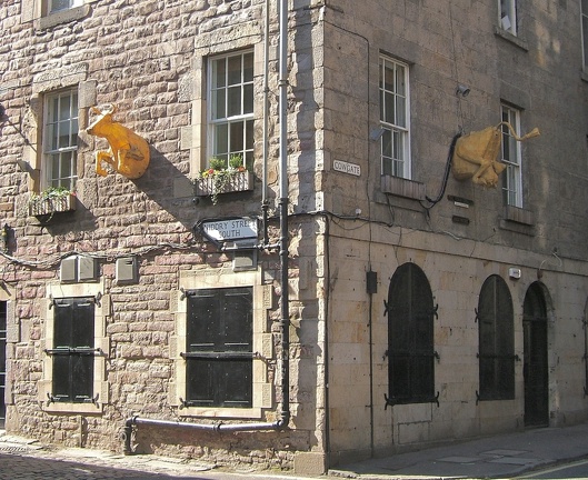 Cowgate Cows In Wall (1734 visits)