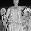 Weeping Angel