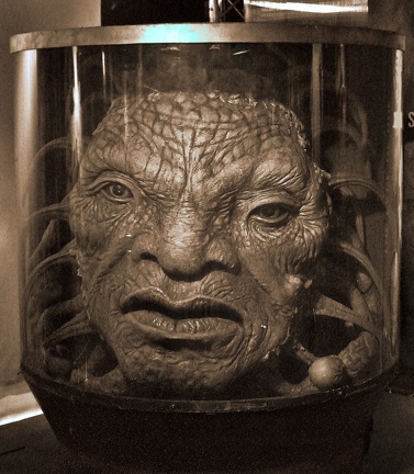 Face Of Boe (6956 visits)
