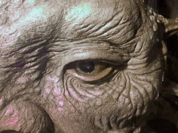 Eye Of Boe (6137 visits) Eye of Boe close-up