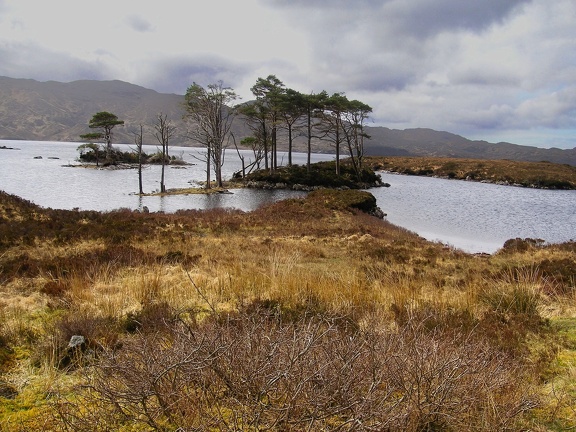 Loch Assynt (8145 visits)