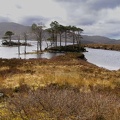 Loch Assynt