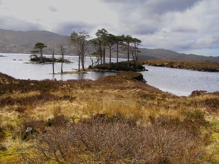Somewhere In Scotland