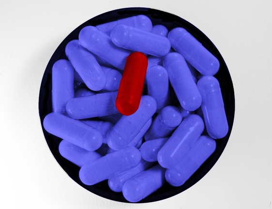 The Choice Is Yours (1683 visits)