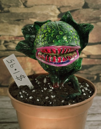 Audrea secunda (6382 visits) But the old Chinese man sold it to me anyways, for a dollar ninety-five.