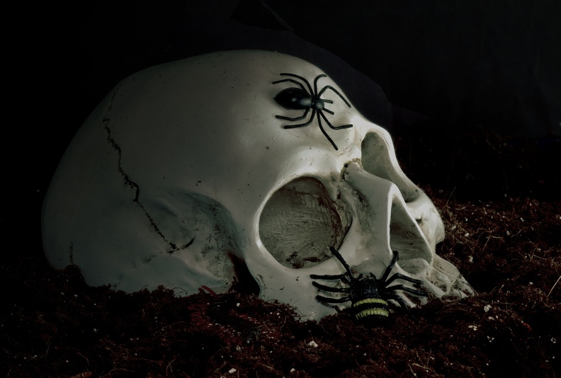 SkullSpiderFinal80.jpg