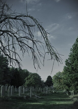 Morningside Cemetery (1615 visits)