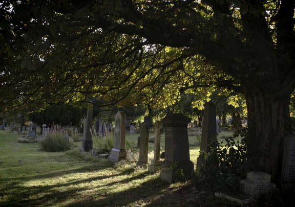 Morningside Cemetery (575 visits)